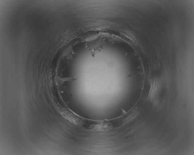 X0000053010366200507081306