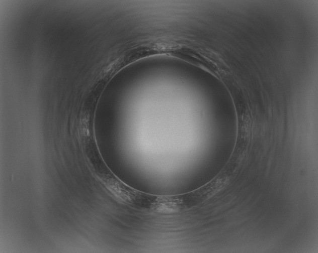 X0000053010368200507081306