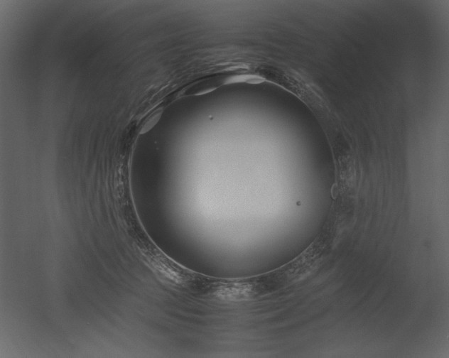 X0000053010369200507081306