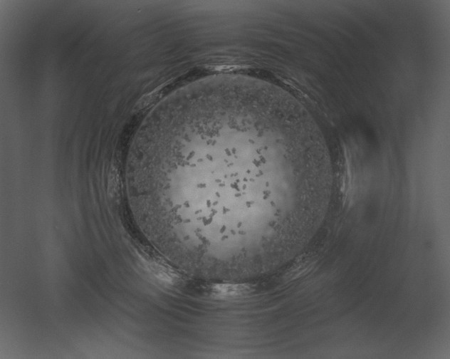 X0000053010371200507081306