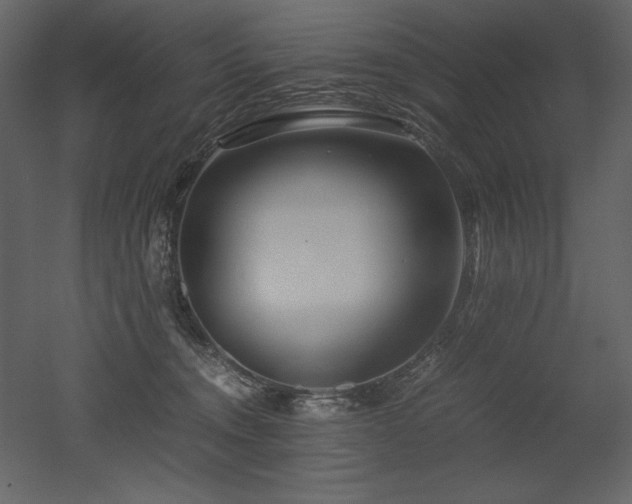 X0000053010372200507081306