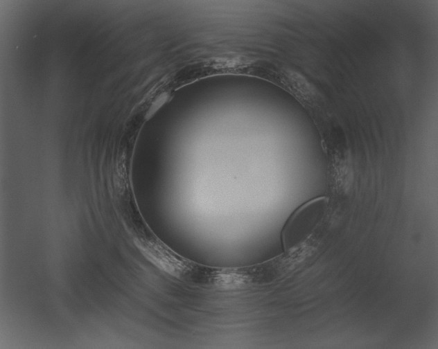 X0000053010376200507081306