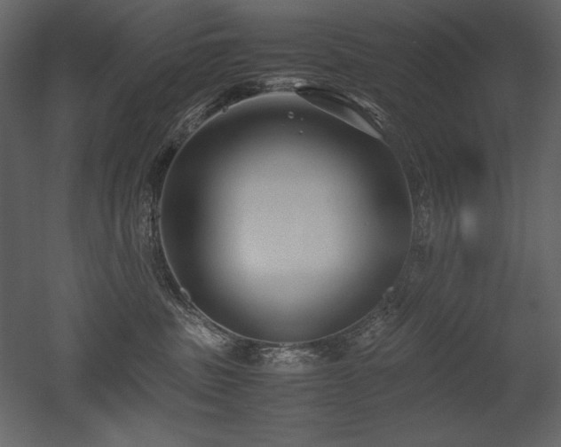 X0000053010379200507081306