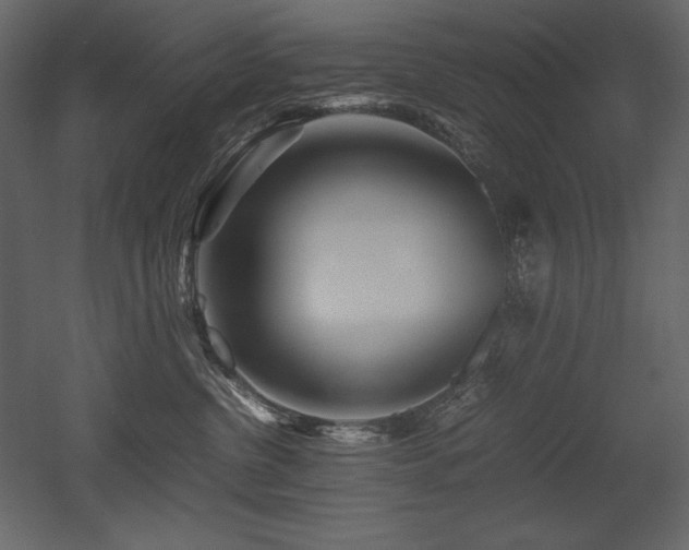 X0000053010380200507081306