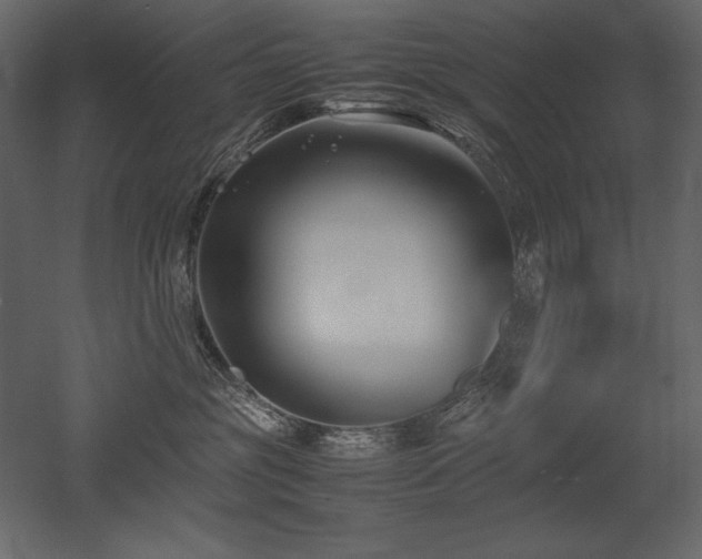 X0000053010381200507081306
