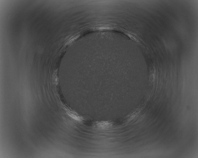X0000053010383200507081306