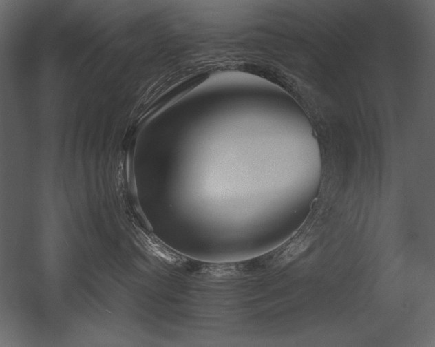 X0000053010384200507081306
