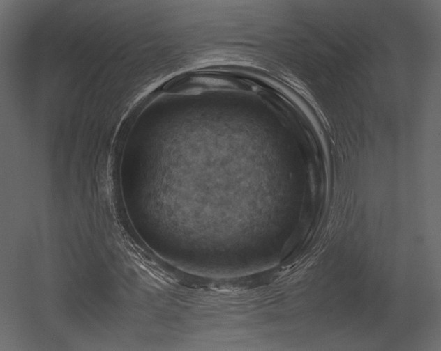 X0000053010387200507081305