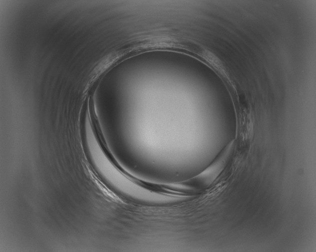 X0000053010389200507081305