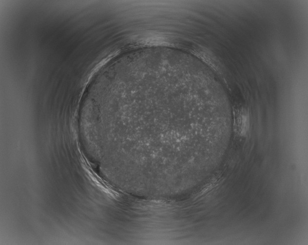 X0000053010390200507081305