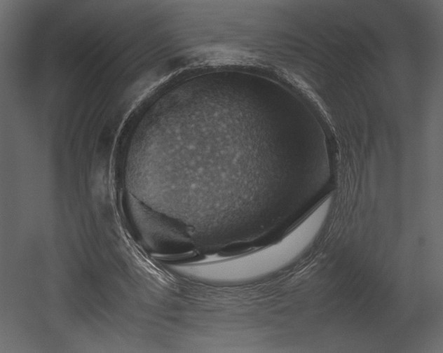 X0000053010391200507081305