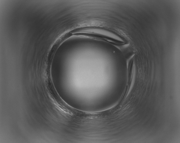X0000053010392200507081305
