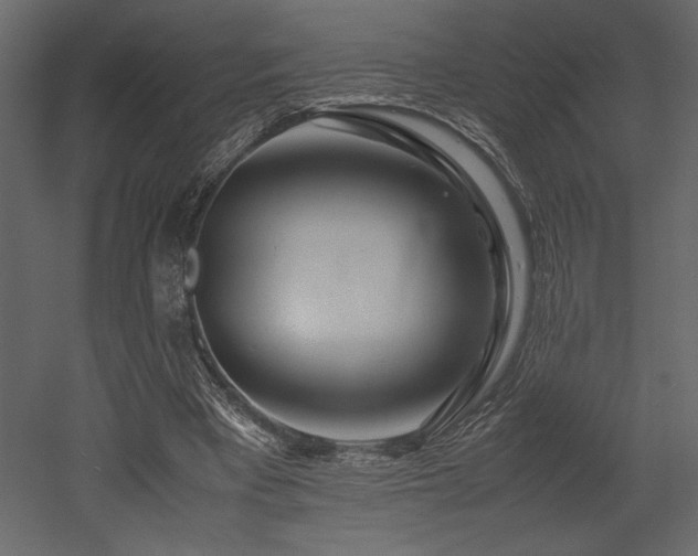X0000053010393200507081305