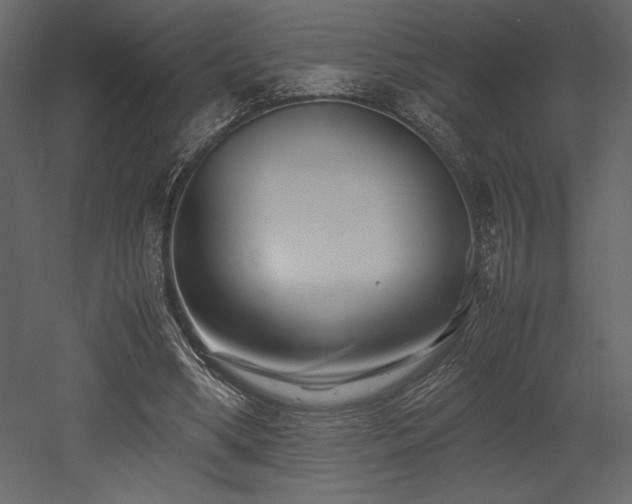 X0000053010394200507081305