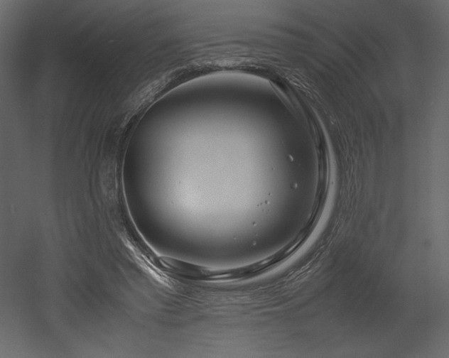 X0000053010397200507081305