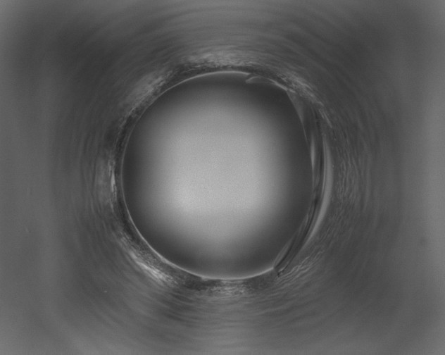 X0000053010398200507081305