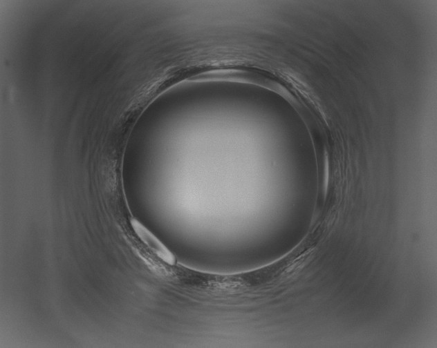 X0000053010401200507081305