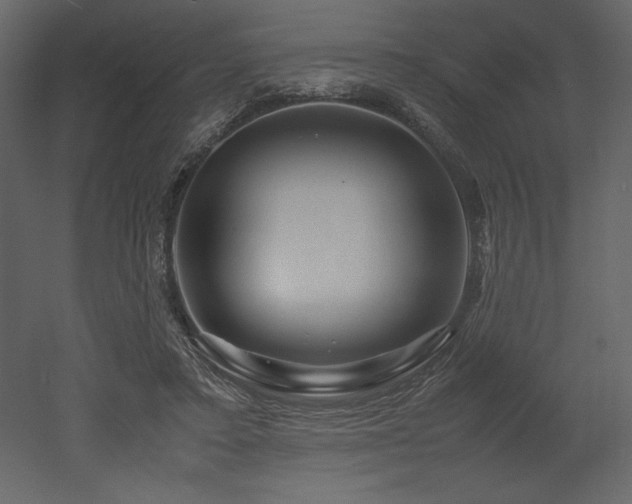 X0000053010403200507081305
