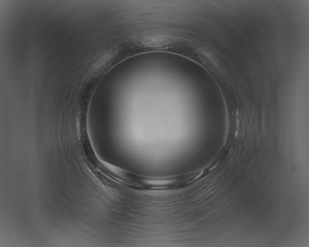 X0000053010404200507081305