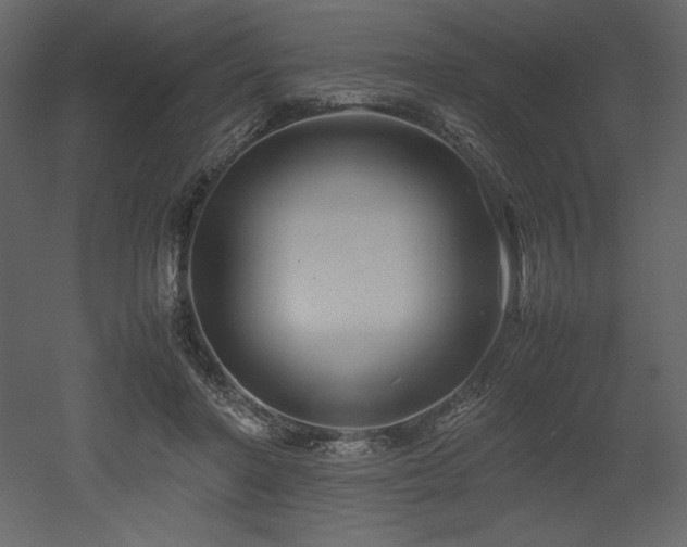 X0000053010406200507081305
