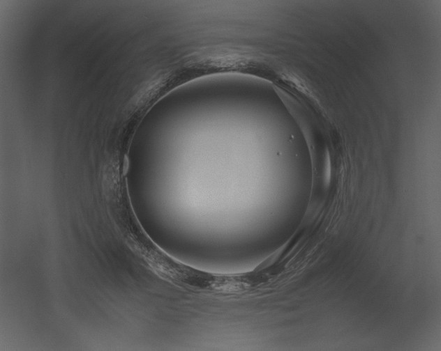 X0000053010407200507081305