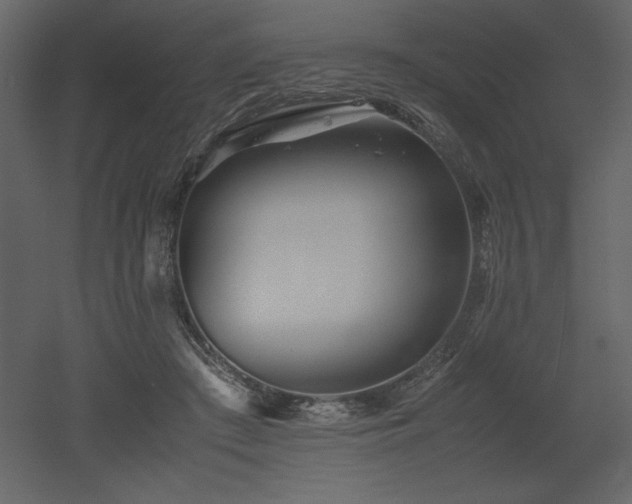 X0000053010409200507081305
