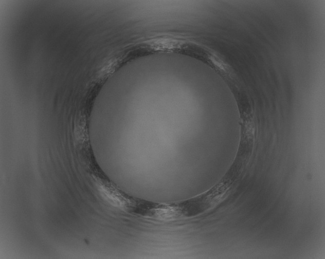 X0000053010411200507081305