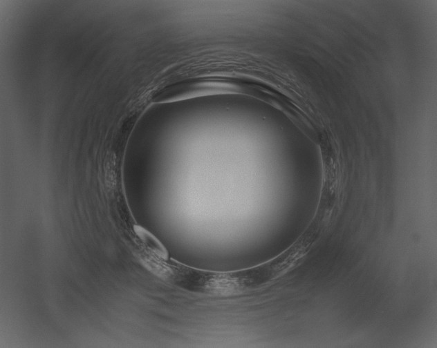 X0000053010413200507081305