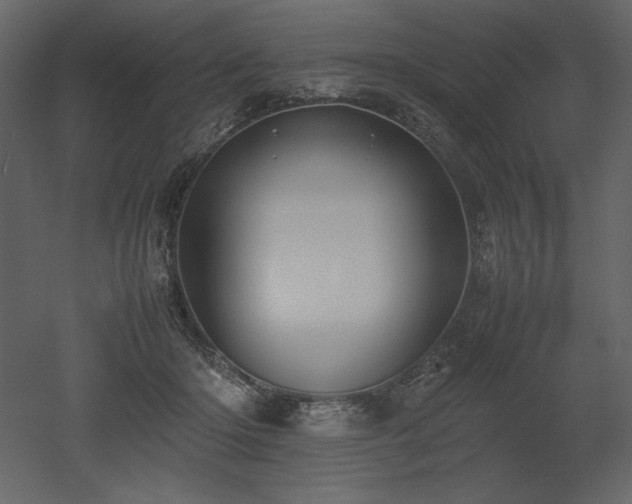 X0000053010414200507081305