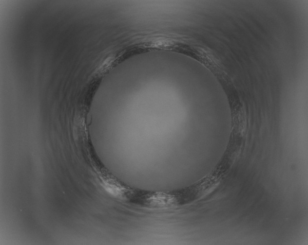 X0000053010415200507081305