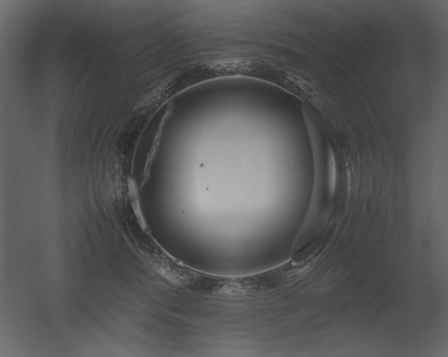 X0000053010416200507081305