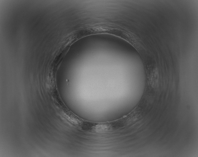 X0000053010418200507081305