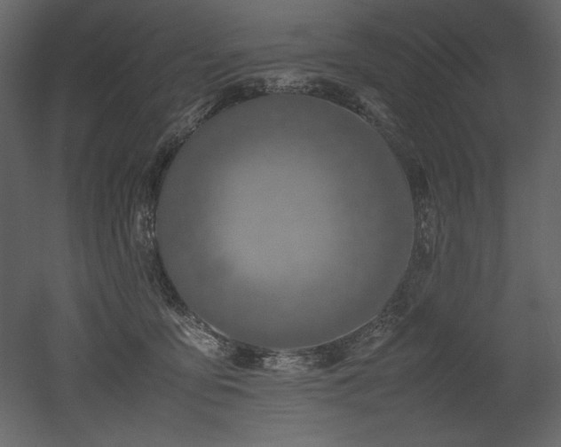 X0000053010419200507081305