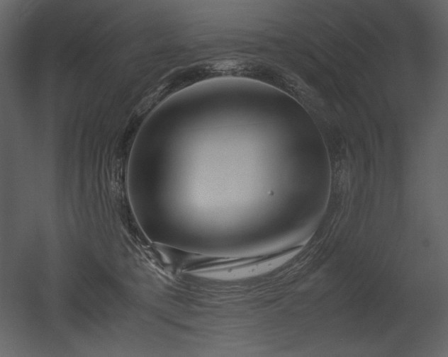 X0000053010421200507081305