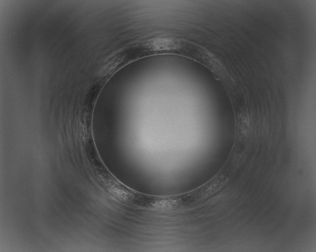 X0000053010422200507081305
