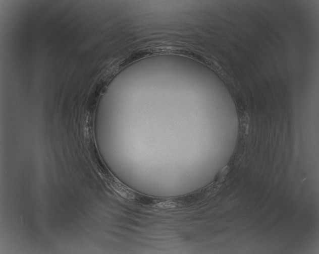 X0000053010423200507081304