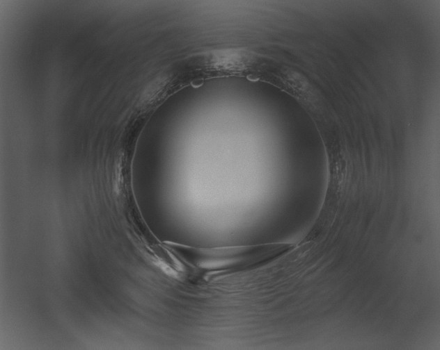 X0000053010424200507081304