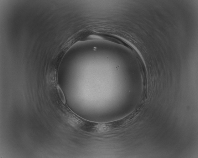 X0000053010425200507081304