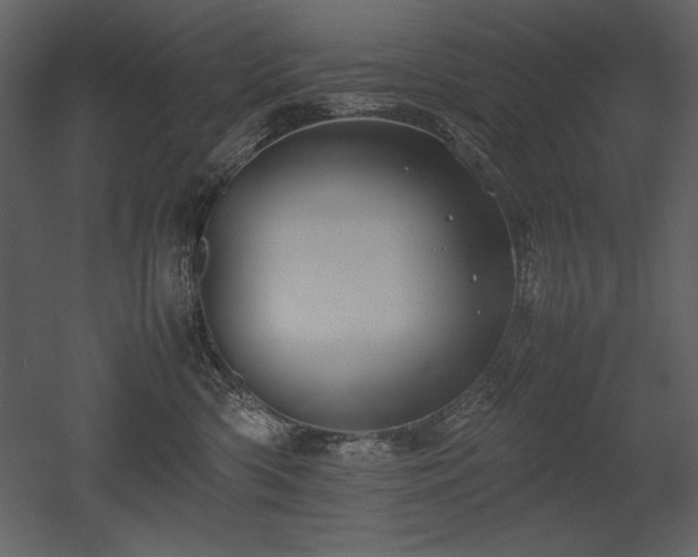 X0000053010426200507081304