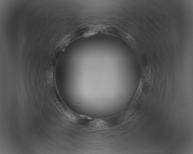 X0000053010427200507081304
