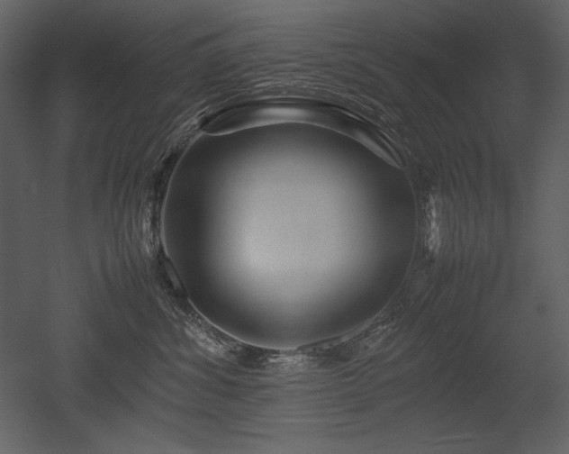 X0000053010428200507081304
