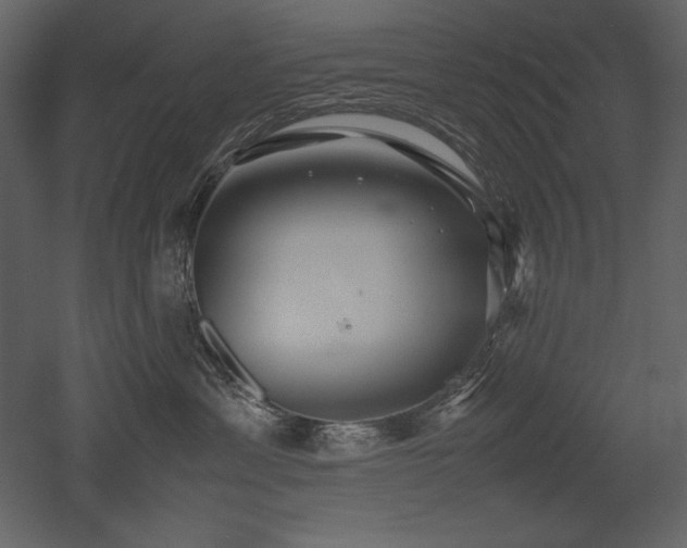 X0000053010429200507081304