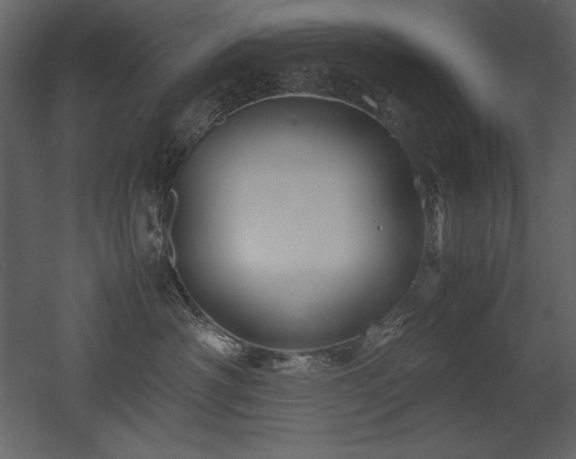 X0000053010430200507081304