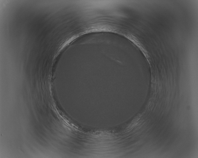 X0000053010434200507081304