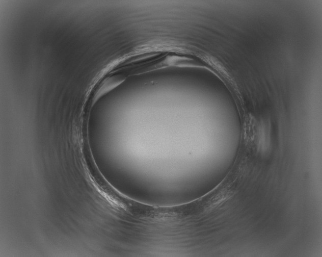 X0000053010438200507081304