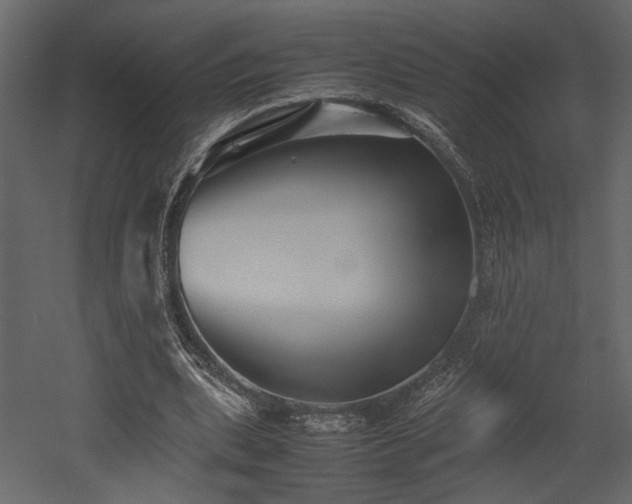 X0000053010439200507081304