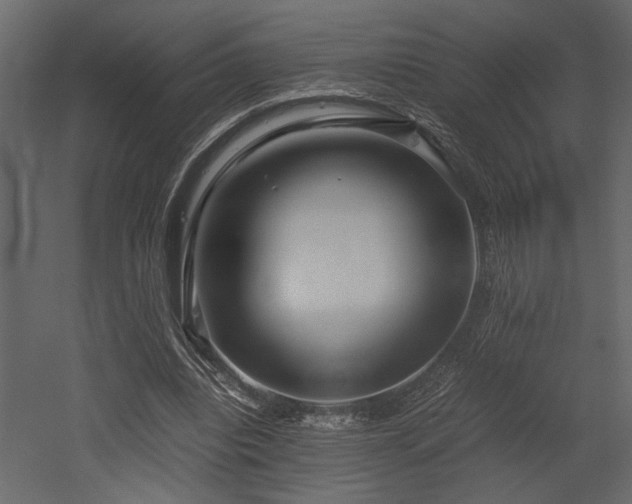 X0000053010440200507081304