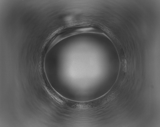 X0000053010442200507081304