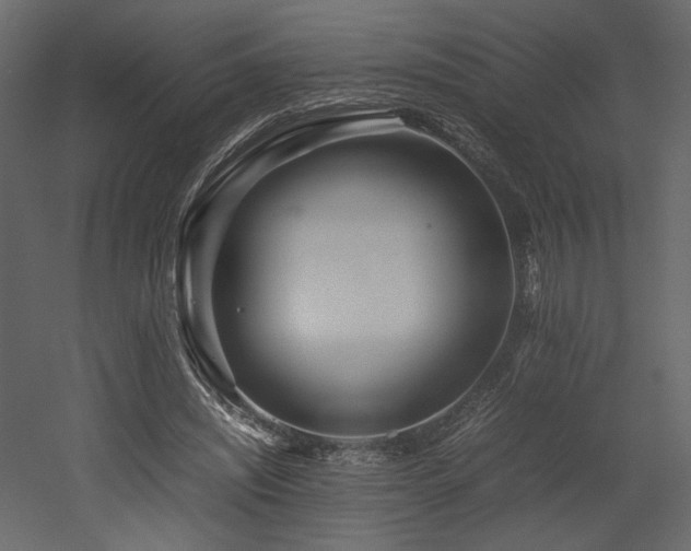 X0000053010444200507081304