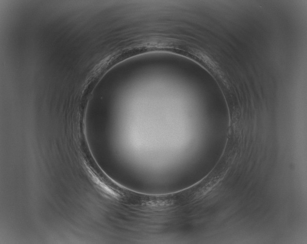X0000053010445200507081304